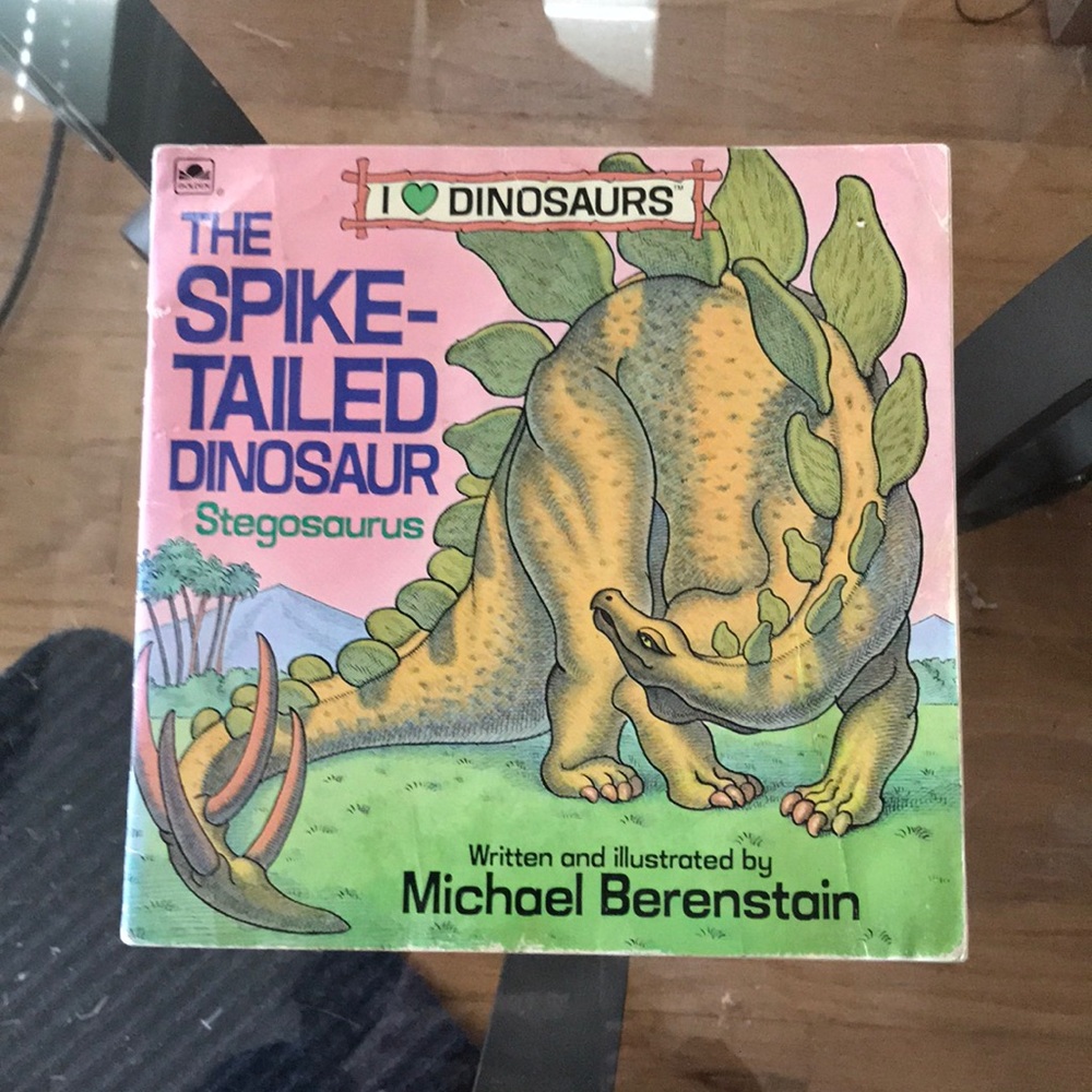 “ The Spike Tailed Dinosaur Stegosaurus” Kid book
